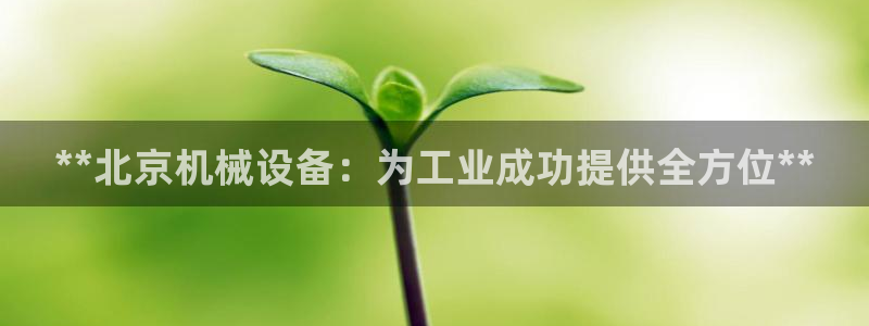 九游会第一真人视频游戏