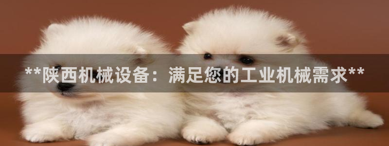 j9九游会黑网