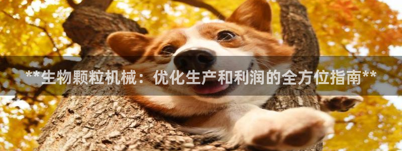 九游会是干嘛的软件
