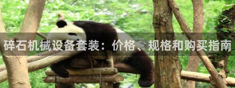 九游会游戏平台是什么