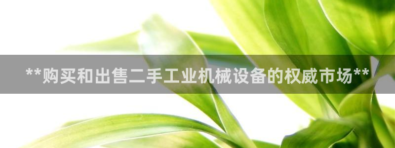 九游会第一真人视频游戏