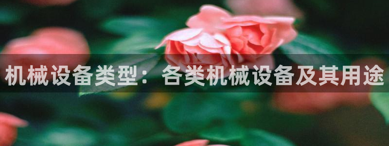九游会网址入口