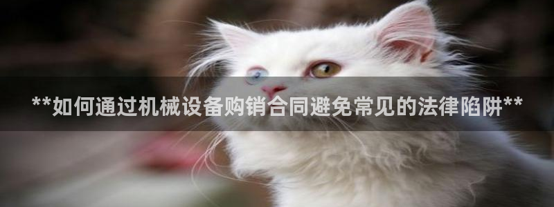 九游会官网网址