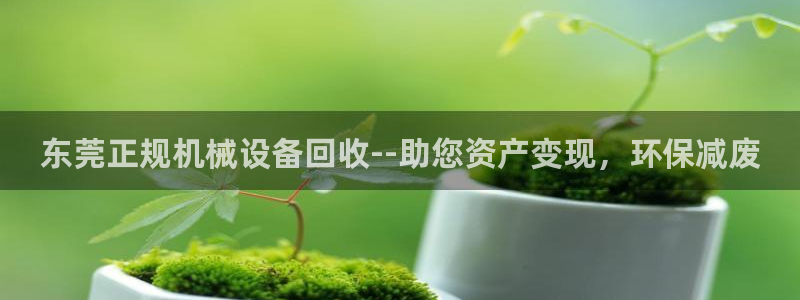 九游会口碑怎么样