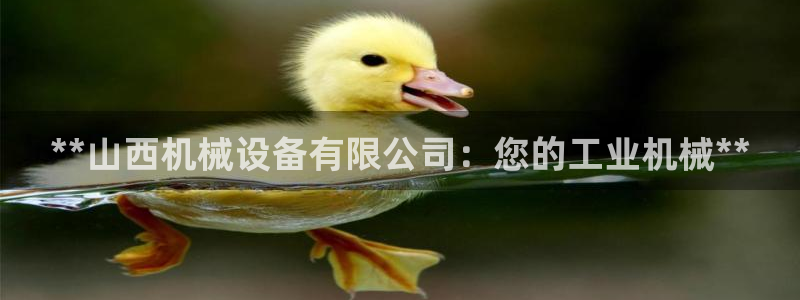 九游会ag官方平台