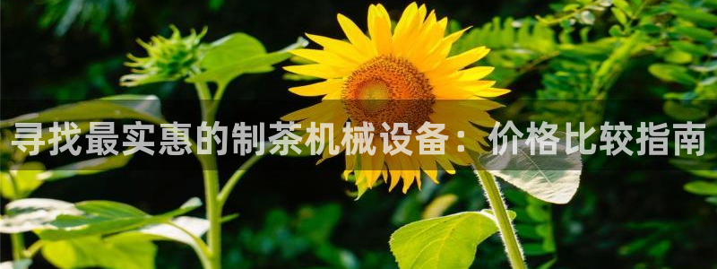 J9九游会俱乐部
