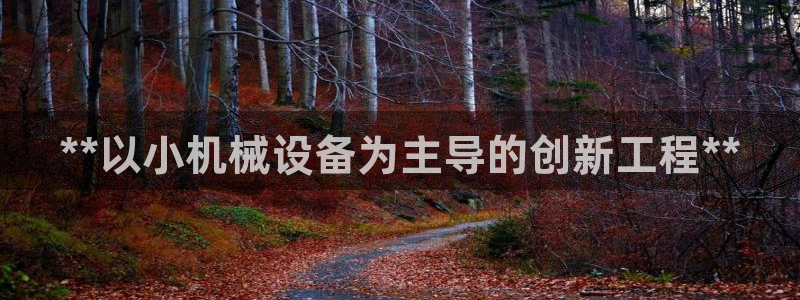 九游会登不上