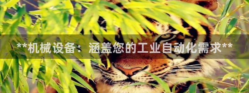九游会是什么组织