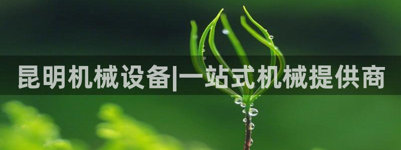 九游会提款快吗