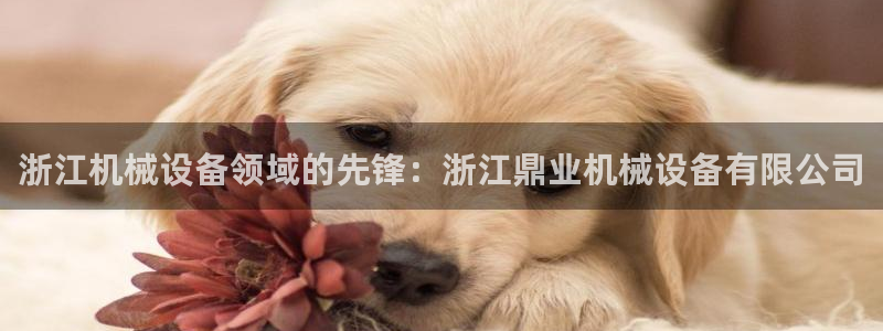 九游会平台怎么样