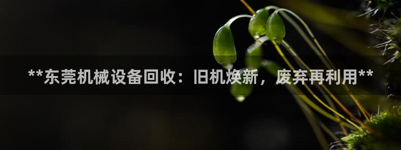 九游j9会 - 真人游戏第一品牌