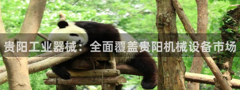 九游会官网真人认证吗是真的吗