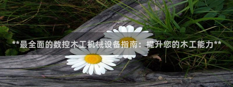 j9九游会官方网站