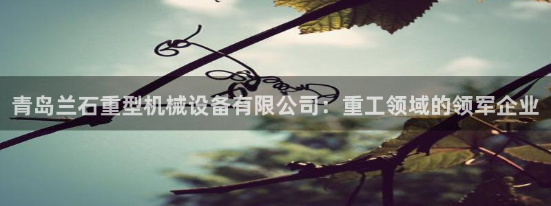 九游会网址多少