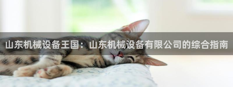 九游会登录网址多少