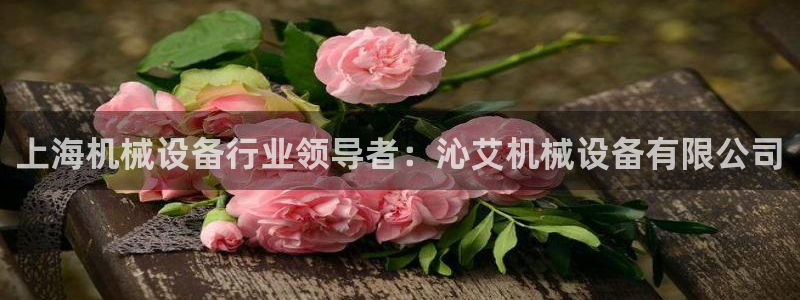 ag怎么变成九游会了