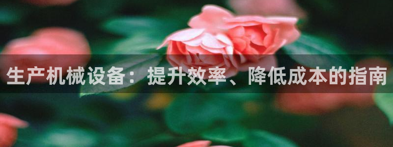 ag改九游会