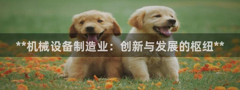 j9官网平台