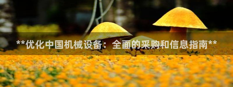 j9九游会真人游戏第一