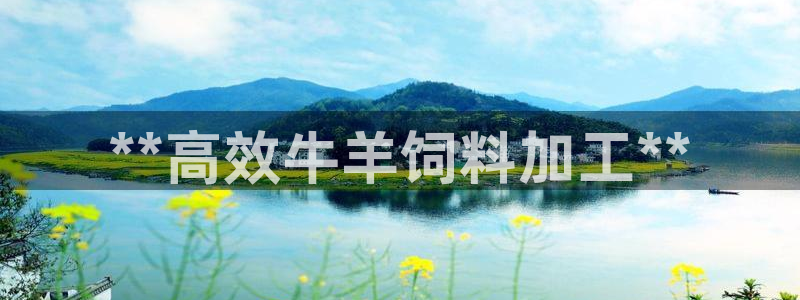 九游会官网网页版