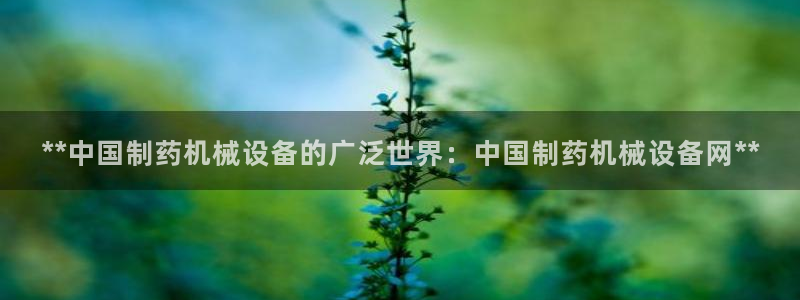 ag九游会vip8