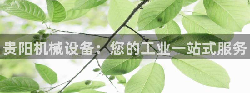九游会平台老哥俱乐部