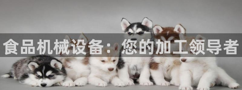 ag九游官网登录