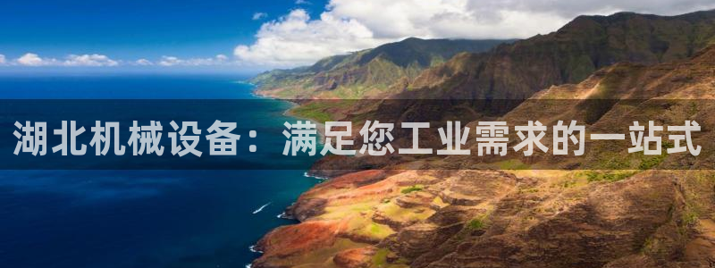 九游会中国j9 09.ag
