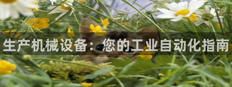 九游会这几天打不开了