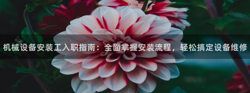 九游j9国际站官方网站