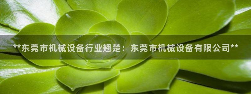 九游会ag老哥俱乐部入口