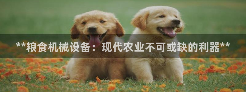 j9九游会直营