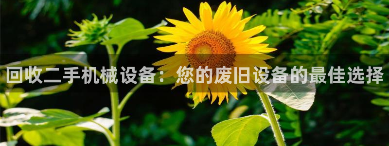 九游会平台稳定吗