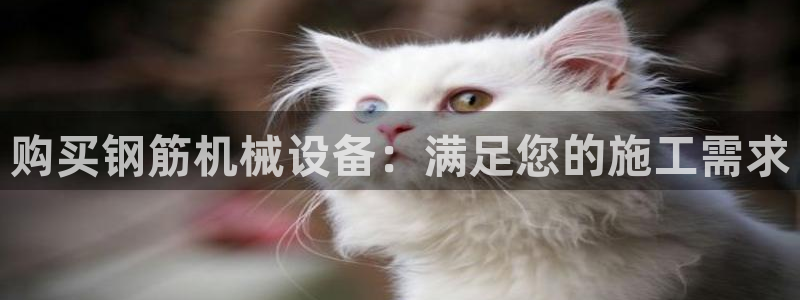 九游会软件