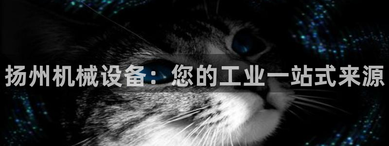 九游会官网进入