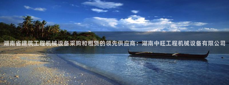 九游会中国入口