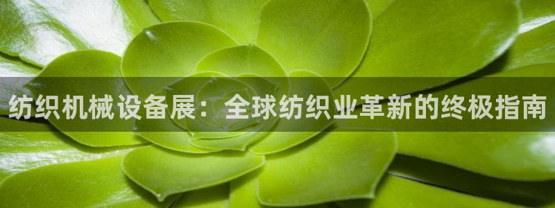 j9九游会合法吗
