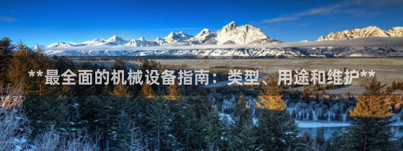 九游会是一个什么网站