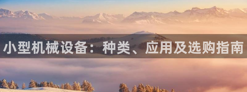 ag老队友