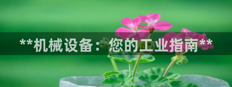 j9官网豪华游