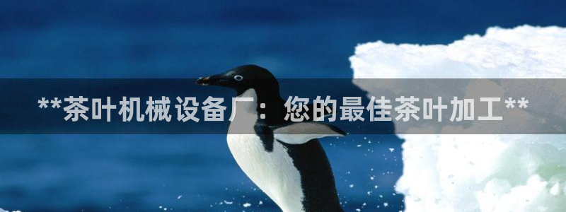 九游会AG注册送388