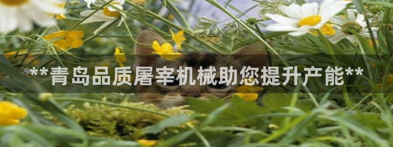 九游会app下载版官网正版手游