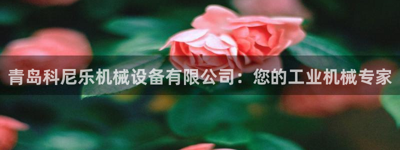 九游会官方视讯