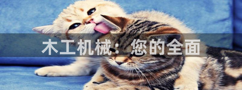 九游会ag真人官网|九游真人