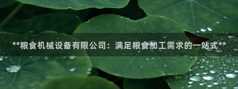 九游会这几天打不开了