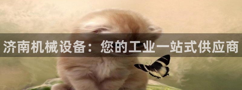 j9九游会官方网站