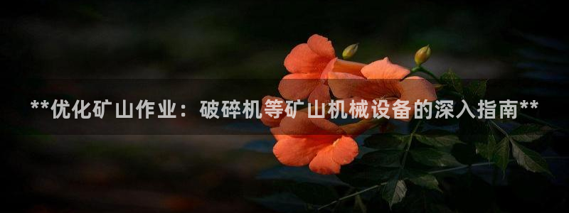 九游会网址最新
