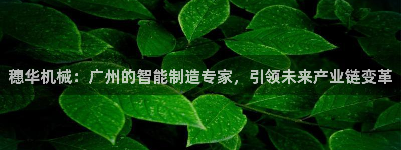 j9官网豪华游