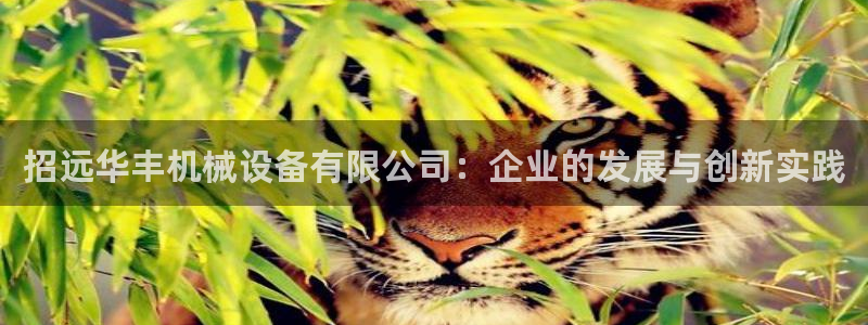 j9九游会入口