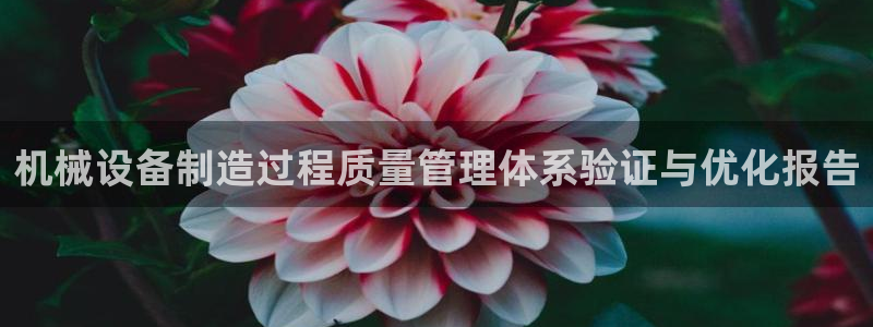 九游会是一个什么网站